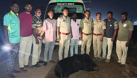 ಭುವನಹಳ್ಳಿ ಬಳಿ ಮಂಗಳವಾರ ರಾತ್ರಿ ಅಪಘತದಲ್ಲಿ ಸಾವನ್ನಪ್ಪಿದ ಕರಡಿಯನ್ನು ಸಹಾಯಕ ಅರಣ್ಯ ಸಂರಕ್ಷಣಾಧಿಕಾರಿ ಟಿ.ಭಾಸ್ಕರ್ ಪರಿಶೀಲನೆ ನಡೆಸಿದರು. ಆರ್‌ಎಫ್‌ಒ ಕೌಶಿಕ್, ಪಶು ವೈದ್ಯಾಧಿಕಾರಿ ಸತೀಶ್, ಉಪ ಅರಣ್ಯ ವಲಯಾಧಿಕಾರಿ ವೀರೇಶ್ ಮಾಶೇಟ್ಟಿ, ಗಸ್ತು ಅರಣ್ಯಪಾಲಕರಾದ ಕೆ.ವೀರೇಶ್, ರವಿಚಂದ್ರ ಇತರರಿದ್ದರು.