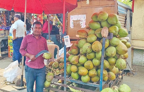 ಎಳನೀರು ಮಾರಾಟ ಮಾಡುತ್ತಿರುವ ವ್ಯಾಪಾರಿ.