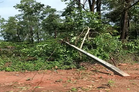 ರಿಪ್ಪನ್‌ಪೇಟೆ ಸಮೀಪ ಕೋಡೂರಿನಲ್ಲಿ ಮಳೆಯಿಂದ ನೆಲಕ್ಕುರುಳಿದ್ದ ವಿದ್ಯುತ್ ಕಂಬ.