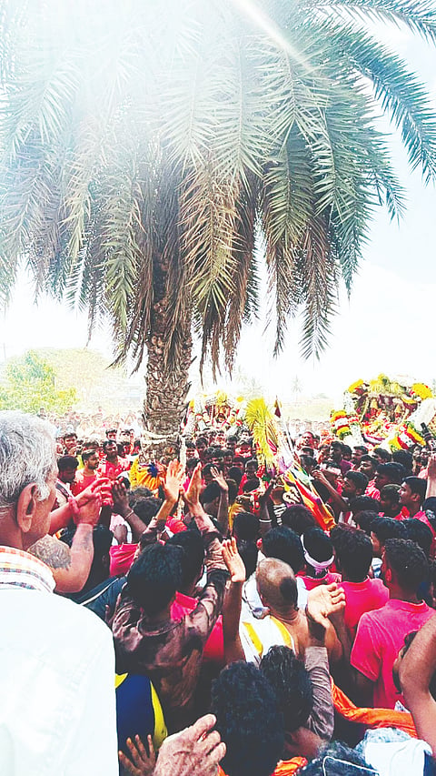 Bunny tree climbing program at Udisalamma fair
