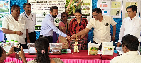 ಮಾಣಿಕ್ಯನಹಳ್ಳಿ ಗ್ರಾಮ ಪಂಚಾಯಿತಿ ಆವರಣದಲ್ಲಿ ಆಯೋಜಿಸಿದ್ದ ವಿಶೇಷ ಜಾಗೃತಿ ಅಭಿಯಾನವನ್ನು ಹಿರಿಯ ವಿಜ್ಞಾನಿ ಡಾ.ಟಿ.ಕೆ.ರಾಧಾ ಉದ್ಘಾಟಿಸಿದರು.