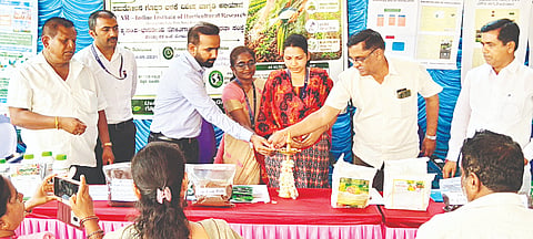 ಮಾಣಿಕ್ಯನಹಳ್ಳಿ ಗ್ರಾಮ ಪಂಚಾಯಿತಿ ಆವರಣದಲ್ಲಿ ಆಯೋಜಿಸಿದ್ದ ವಿಶೇಷ ಜಾಗೃತಿ ಅಭಿಯಾನವನ್ನು ಹಿರಿಯ ವಿಜ್ಞಾನಿ ಡಾ.ಟಿ.ಕೆ.ರಾಧಾ ಉದ್ಘಾಟಿಸಿದರು.
