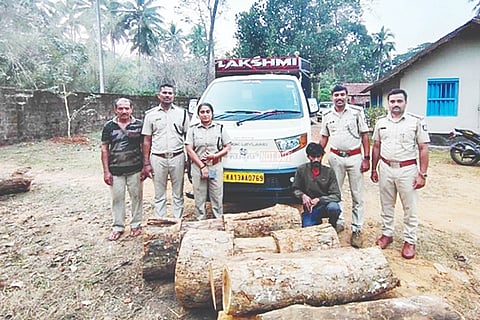 ಸಂಪಾಜೆ (ಚೆಕ್‌ಪೋಸ್ಟ್ ) ಗೇಟ್‌ನಲ್ಲಿ ವಲಯ ಅರಣ್ಯ ಅಧಿಕಾರಿಗಳ ತಂಡ ವಾಹನದಲ್ಲಿ ಬಿಟಿ ಮರದ ನಾಟಾಗಳನ್ನು ವಶಪಡಿಸಿಕೊಂಡಿರುವುದು.