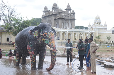 ಅಭಿಮನ್ಯು ಆನೆ