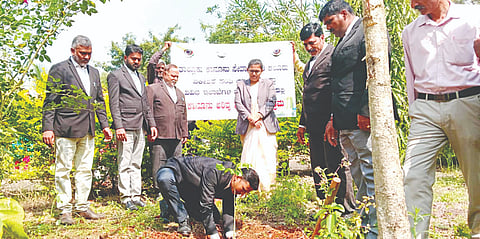 ಆಲೂರು ಪಟ್ಟಣದ ಜೆಎಂಎಫ್‌ಸಿ ನ್ಯಾಯಾಲಯದ ಆವರಣದಲ್ಲಿ ಸಾಲುಮರದ ತಿಮ್ಮಕ್ಕ ಅವರಿಗೆ ಗಿಡ ನೆಡುವ ಮೂಲಕ ಭಾವಪೂರ್ಣ ಶ್ರದ್ಧಾಂಜಲಿ ಸಲಿಸಲಾಯಿತು. ನ್ಯಾಯಾಧೀಶೆ ಸ್ನೇಹಾ, ವಕೀಲರ ಸಂಘದ ಅಧ್ಯಕ್ಷ ಎಂಎಸ್ ಮಹೇಶ್ ಇತರರು ಇದ್ದರು.