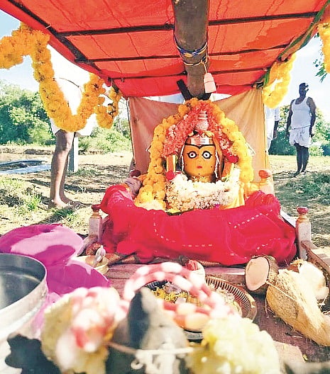 ಅರಕಲಗೂಡು ತಾಲೂಕಿನ ಕಾಳೇನಹಳ್ಳಿ ಗ್ರಾಮಕ್ಕೆ ಕರೆತರಲು ಗೌರಮ್ಮನನ್ನು ಅಡ್ಡಮೇಲೆ ಕೂರಿಸಿ ಅಲಂಕರಿಸಿರುವುದು.