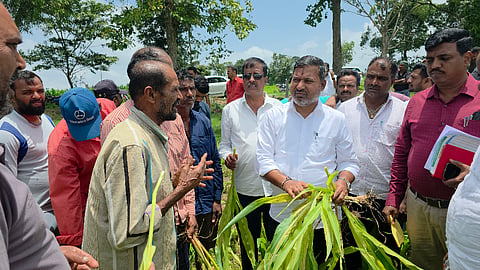 ಸಕಲೇಶಪುರ ಶಾಸಕ ಸಿಮೆಂಟ್ ಮಂಜು ಆಲೂರು ತಾಲೂಕಿನಲ್ಲಿ ರೈತರ ಜಮೀನಿಗೆ ಭೇಟಿ ನೀಡಿ ಮೆಕ್ಕೆಜೋಳಕ್ಕೆ ತಗುಲಿರುವ ರೋಗದ ಕುರಿತು ಪರಿಶೀಲನೆ ನಡೆಸಿದರು. ಚಿತ್ರ: ಸ್ವರೂಪ್, ಲತಾಕುಮಾರಿ