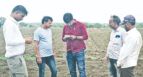 ಕಮಲನಗರ ತಾಲೂಕಿನ ಖೇಡ್​ ಗ್ರಾಮದಲ್ಲಿ ಕರ್ನಾಟಕ ರಾಜ್ಯ ಬೀಜ ನಿಗಮ ನಿಯಮಿತ (ಕೆಎಸ್​ಎಸ್​ಇ) ಬೀದರ್​ನಿಂದ ಡಿಎಸ್​ಬಿ-34 ತಳಿಯ ಮೊಳಕೆಯೊಡೆಯದ ಸೋಯಾಬಿನ್​ ಬೆಳೆಯನ್ನು ಈಚೆಗೆ ಕೆಎಸ್​ಎಸ್​ಇ ಅಧಿಕಾರಿಗಳ ತಂಡ ಕ್ಷೇತ್ರ ವೀಕ್ಷಣೆ ಮಾಡಿರುವುದು.