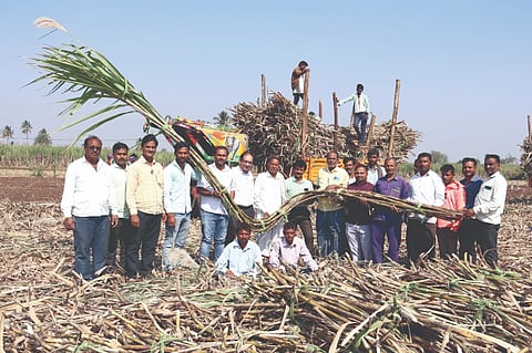 ನಂದಿಕುರಳಿ ಗ್ರಾಮದ ರೈತ ಅಣ್ಣಪ್ಪ ಬಾಳಪ್ಪ ನಾಯಿಕ ಅವರೊಂದಿಗೆ ಬಿ.ಆರ್.ಖಂಡಗಾವಿ, ಎನ್.ಎಸ್.ಹಿರೇಮಠ, ರಾಹುಲ್ ಇಚಲಕರಂಜಿ, ಸಚಿನ ಮೋಪಗಾರ, ಎನ್.ಐ.ಪಾಟೀಲ, ಎಸ್.ಎಸ್.ಖೋತ, ಇತರರಿದ್ದಾರೆ. 