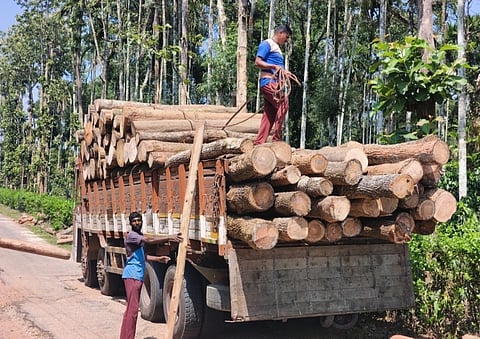 ವಾಹನವೊಂದಕ್ಕೆ ಮರದ ದಿಮ್ಮಿಗಳನ್ನು ತುಂಬುತ್ತಿರುವುದು.
