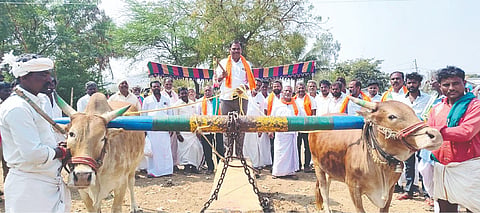 ಚಿಂತಲಕುಂಟಾದಲ್ಲಿ ಮಹಾಶಿವರಾತ್ರಿ ಜಾಗರಣೆ ನಿಮಿತ್ತ ಎತ್ತುಗಳಿಂದ ಭಾರದಕಲ್ಲು ಎಳೆಯುವ ಸ್ಪರ್ಧೆ ನಡೆಯಿತು.