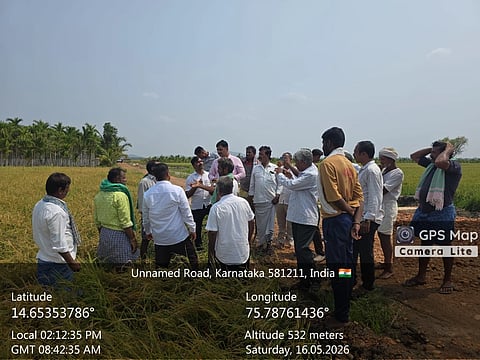 Haveri, Rabenennuer, Hirebidari, Tahasildar Visit, Paddy, Craft loss, 