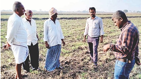 ಕಂಪ್ಲಿ ಹೊರವಲಯದಲ್ಲಿ ಬೆಳೆದ ಕಡಲೆ ಬೆಳೆಯನ್ನು ಕೃಷಿ ಇಲಾಖೆ ಉಪ ನಿರ್ದೇಶಕ ಎಸ್.ಎನ್.ಮಂಜುನಾಥ ಪರಿಶೀಲಿಸಿದರು. ಕೃಷಿ ಅಧಿಕಾರಿ ಕೆ.ಸೋಮಶೇಖರ, ರೈತರಾದ ಪುಲ್ಲಯ್ಯ, ದೊರೆಸ್ವಾಮಿ ಇತರರಿದ್ದರು.