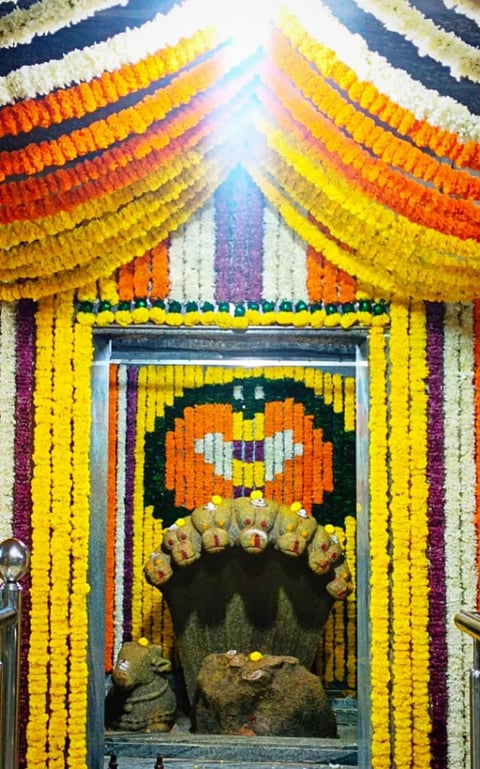 ಬುಕ್ಕಸಾಗರದ ಐತಿಹಾಸಿಕ ಏಳು ಹೆಡೆ ನಾಗಪ್ಪ ದೇಗುಲದಲ್ಲಿ ಹೂವಿನ ವಿಶೇಷ ಅಲಂಕಾರ ಮಾಡಿರುವುದು.