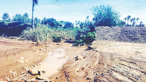 ಗುಂಡ್ಲುಪೇಟೆ ತಾಲೂಕಿನ ಶೀಲವಂತಪುರ ಗ್ರಾಮದಲ್ಲಿ ಕೆರೆ ಏರಿ ಒಡೆದು ಅರಿಶಿಣ ಬೆಳೆಯನ್ನು ಆವರಿಸಿರುವುದು.