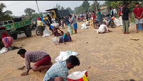 ರಸ್ತೆಯಲ್ಲಿ ಚೆಲ್ಲಾಡಿದ ಗೋದಿ ಗೋದಿ ತುಂಬಿಕೊಳ್ಳಲು ಮುಗಿಬಿದ್ದ ಜನ.