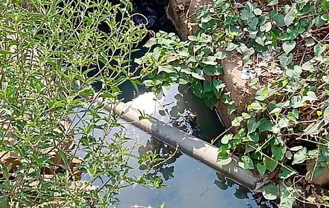 ತಾಲೂಕಿನ ಚುಂಚನಹಳ್ಳಿ ಗ್ರಾಮದಲ್ಲಿ ಕಸಕಡ್ಡಿಗಳಿಂದ ತುಂಬಿರುವ ಚರಂಡಿ