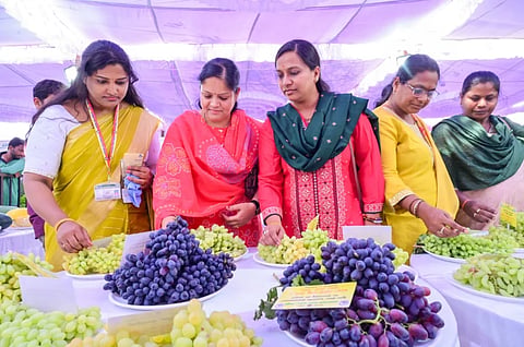ಮೇಳದಲ್ಲಿ ಬಗೆ ಬಗೆಯ ದ್ರಾ ವಿಸಿದ ಮಹಿಳೆಯರು.