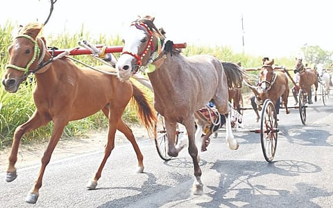 ಐನಾಪುರ ಸಿದ್ಧೇಶ್ವರ ಜಾತ್ರಾ ಮಹೋತ್ಸದ ಅಂಗವಾಗಿ ಹಮ್ಮಿಕೊಂಡಿದ್ದ ಕುದುರೆ ಗಾಡಿ ಶರ್ಯತ್ತು.