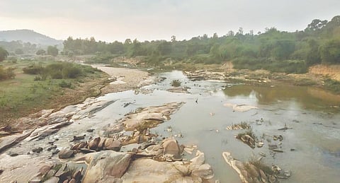ಹೊಸನಗರದಲ್ಲಿ ಹಾದು ಹೋಗುವ ಶರಾವತಿ ನದಿ ನೀರು ತಳಹಿಡಿದಿರುವುದು. 