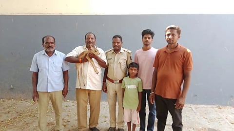 Deer protection in Chelur