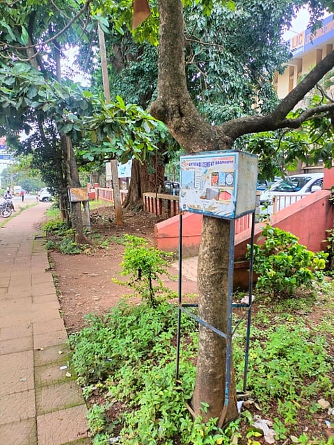 ಮರಗಳ ಕೊರಳಿಗೆ ಕಬ್ಬಿಣದ ಉರುಳು