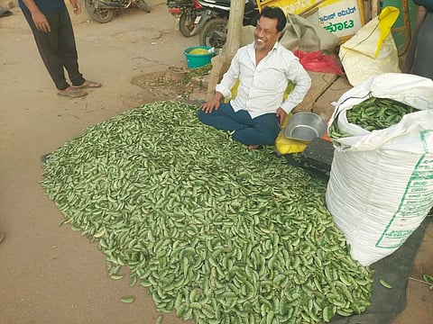 ಚಿತ್ರ ೧೭ ಕೆ.ಎಲ್.ಆರ್. ೦೧ : ರಸ್ತೆ ಬದಿಯಲ್ಲಿಯೇ ಶ್ರೀನಿವಾಸಪುರದಲ್ಲಿ ಅವರೇಕಾಯಿ ವಹಿವಾಟು ನಡೆಯುತ್ತಿರುವುದು. 