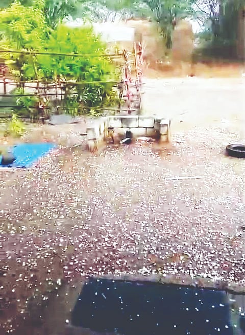 ಸಿರಗುಪ್ಪ ತಾಲೂಕಿನ ರಾರಾವಿ ಗ್ರಾಮದಲ್ಲಿ ಆಲಿಕಲ್ಲು ಮಳೆಯಾಗಿರುವುದು.