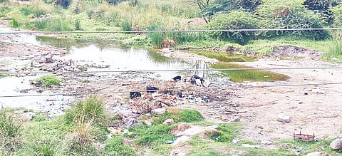ಸಿದ್ದಾಪುರ ಹಳ್ಳದಲ್ಲಿ ತ್ಯಾಜ್ಯ ಸುರಿದಿರುವುದು.