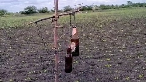 ರೈತರು