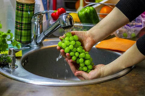 Grapes Washing 