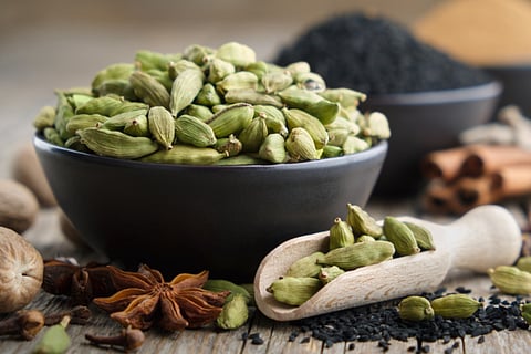 Cardamom Benefits 