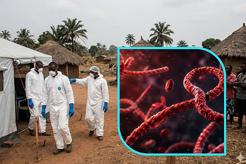 Ebola Virus