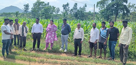 ಬೆಟ್ಟದಪುರ ಸಮೀಪದ ಚಿಕ್ಕಕಮರಹಳ್ಳಿ ಗ್ರಾಮದ ರೈತ ಪ್ರಕಾಶ್ ಜಮೀನಿಗೆ ಕೃಷಿ ಇಲಾಖೆಯ ಅಧಿಕಾರಿಗಳೊಂದಿಗೆ ಕೃಷಿ ವಿಜ್ಞಾನಿಗಳು ಭೇಟಿ ನೀಡಿ, ಮುಸುಕಿನ ಜೋಳದಲ್ಲಿ ಕಂಡುಬರುತ್ತಿರುವ ರೋಗಗಳ ಬಗ್ಗೆ ಅಧ್ಯಯನ ನಡೆಸಿ, ಚರ್ಚಿಸಿದರು. ಡಾ.ಉಮಾಶಂಕರ್, ಬಿ.ಕೆ ಕುಸುಮಾ, ಹಿತೇಶ್ ಇತರರಿದ್ದರು.