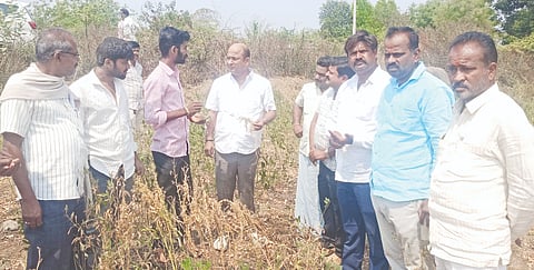 ಕಸ್ಕೊಟಾ ಕಳೆಯಿಂದ ಹಾಳಾಗುತ್ತಿರುವ ಚಿಂಚೋಳಿ ತಾಲೂಕಿನ ಗಾರಂಪಳ್ಳಿ ಗ್ರಾಮದ ತೊಗರಿ ಹೊಲಕ್ಕೆ ಡಿಸಿಸಿ ಬ್ಯಾಂಕ್​ ನಿರ್ದೇಶಕ ಗೌತಮ ಪಾಟೀಲ್​ ಮಂಗಳವಾರ ಭೇಟಿ ನೀಡಿ ರೈತರೊಂದಿಗೆ ಚರ್ಚಿಸಿದರು. ಗೋಪಾಲ ಎಂ.ಪಿ. ಗಾರಂಪಳ್ಳಿ, 