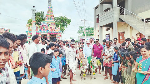 ಕೊಟ್ಟೂರು ತಾಲೂಕಿನ ಹರಾಳು ಗ್ರಾಮದಲ್ಲಿ ಕತ್ತೆಗಳಿಗೆ ಮದುವೆ ಮಾಡಿ ಮೆರವಣಿಗೆ ನಡೆಸಲಾಯಿತು.
