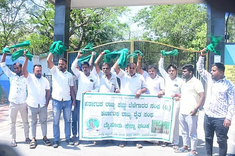 ಬಂಡೀಪುರ ಮತ್ತು ನಾಗರಹೊಳೆಯಲ್ಲಿ ಸಫಾರಿ ಪುನರಾರಂಭಿಸುವುದನ್ನು ವಿರೋಧಿಸಿ ರೈತರು ಗುರುವಾರ ಮೈಸೂರು ನಗರದ ಅರಣ್ಯ ಭವನದ ಎದುರು ಪ್ರತಿಭಟನೆ ನಡೆಸಿದರು.