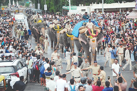 ಭಾರ ಹೊತ್ತು ಸಾಗಿದ ಮಹೇಂದ್ರ ಆನೆಯನ್ನು ಹಿಂಬಾಲಿಸಿದ ಗಜಪಡೆ