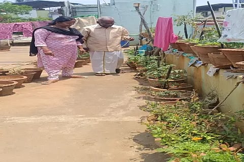 ಭದ್ರಾವತಿ ಎಸ್.ದೇವಪ್ಪ  ಮನೆಯ ಮೇಲಿನ ತಾರಸಿಯಲ್ಲಿ ವಿವಿಧ ತರಕಾರಿ ಗಿಡ ಬೆಳೆದಿರುವುದು.