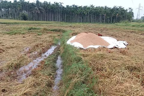 ಕಡದಕಟ್ಟೆ ಗದ್ದೆಯೊಂದರಲ್ಲಿ ನೀರು ನಿಂತಿರುವುದು.