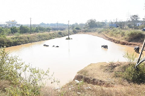 ಬಸವೇಶ್ವರ ಬಡಾವಣೆಯ ನಮ್ಮ ಕೆರೆ