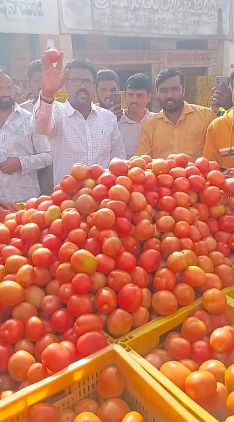 ಚಿತ್ರ ೧೮ ಕೆ.ಎಲ್.ಆರ್. ೦೨ : ಎಪಿಎಂಸಿ ಮಾರುಕಟ್ಟೆಯಲ್ಲಿ ಟೊಮೆಟೋ ಹರಾಜು ಪ್ರಕ್ರಿಯೆ ನಡೆಯುತ್ತಿದ್ದು, ವ್ಯಾಪಾರಸ್ಥರು ಭಾಗಿಯಾಗಿರುವುದು.  