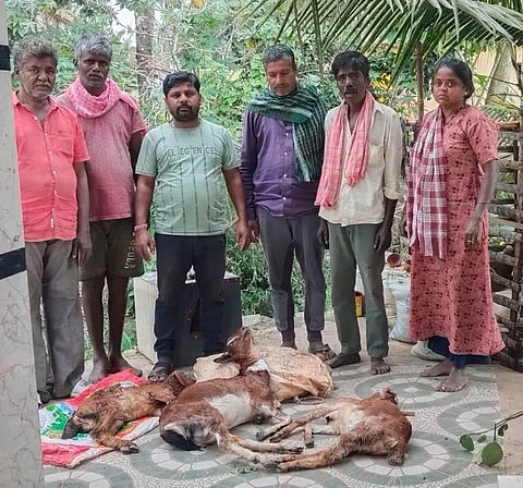 ಮಾಗಡಿ ತಾಲೂಕು ಕೆಂಪಸಾಗರ ಗ್ರಾಮದ ಬಳಿ ಬೀದಿನಾಯಿಗಳ ಹಾವಳಿಯಿಂದ ಮೃತಪಟ್ಟ ಮೇಕೆಗಳು. 
