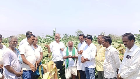 ಕೊಪ್ಪಳ ತಾಲೂಕಿನ ಹ್ಯಾಟಿ ಗ್ರಾಮದಲ್ಲಿ ಮಳೆಯಿಂದ ಹಾನಿಯಾದ ಬಾಳೆ ಬೆಳೆಯನ್ನು ಸೋಮವಾರ ಜೆಡಿಎಸ್​ ನಾಯಕರು ವೀಸಿದರು. ಜೆಡಿಎಸ್​ ಜಿಲ್ಲಾಧ್ಯಕ್ಷ ಸುರೇಶ ಭೂಮರಡ್ಡಿ, ಪದಾಧಿಕಾರಿಗಳಾದ ಶಿವಕುಮಾರ ಏಣಿಗಿ, ಸುರೇಶ ಪುಜಾರಿ, ಮಾರುತಿಗೌಡ, ಸೋಮನಗೌಡ ಹೊಗಾರನಾಳ ಇದ್ದರು.