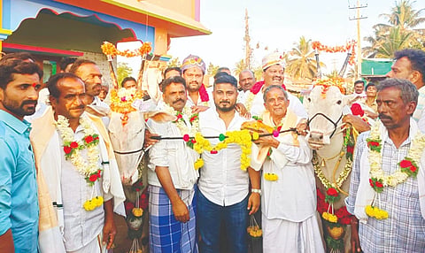 ಬೆಟ್ಟದಪುರ ಸಮೀಪದ ಹುಣಸೆಕೊಪ್ಪಲು ಗ್ರಾಮದಲ್ಲಿ ಹಳ್ಳಿಕಾರ್ ತಳಿಯ ಎತ್ತುಗಳ ಭರ್ಜರಿ ಮೆರವಣಿಗೆ ಮಾಡುವ ಮೂಲಕ ಗ್ರಾಮಸ್ಥರು ಸಂಭ್ರಮಿಸಿದರು. ಕೆ.ಮಹದೇವ್, ಪಿ.ಎಂ.ಪ್ರಸನ್ನ, ಅಣ್ಣಯ್ಯಶೆಟ್ಟಿ, ಗಗನ್ ಇದ್ದರು.