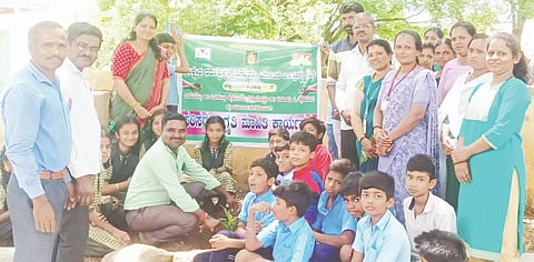 Strive to keep the environment green.