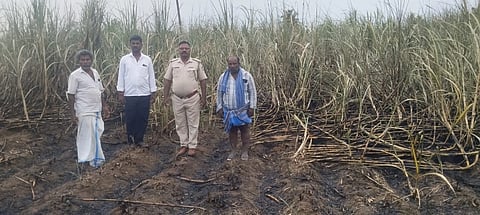  2ಎಕರೆ ಭೂ ಪ್ರದೇಶದಲ್ಲಿ ಬೆಳೆದಿದ್ದ ಕಬ್ಬು ಬೆಂಕಿಗೆ ಆಹುತಿಯಾಗಿರುವುದು. 