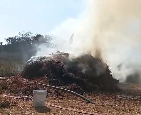 ಕೆಂಚನಕುಪ್ಪೆ ಗ್ರಾಮದಲ್ಲಿ ರಾಗಿ ಮೆದೆಗೆ ಬೆಂಕಿ ತಗುಲಿ ಬೆಳೆ ಬೆಂಕಿಗೆ ಆಹುತಿಯಾಗಿದೆ.