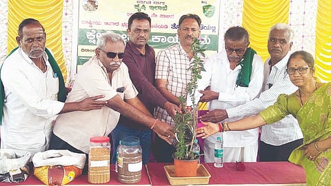 ಕಂಪ್ಲಿ ಜಿಲ್ಲಾ ಕೃಷಿ ತರಬೇತಿ ಕೇಂದ್ರದಲ್ಲಿ ಆಯೋಜಿಸಿದ್ದ ತೊಗರಿ ಬೆಳೆ ಕ್ಷೇತ್ರೋತ್ಸವ ಕಾರ್ಯಕ್ರಮಕ್ಕೆ ಎಮ್ಮಿಗನೂರಿನ ರೈತ ಬಿ.ಸದಾಶಿವಪ್ಪ ಚಾಲನೆ ನೀಡಿದರು.