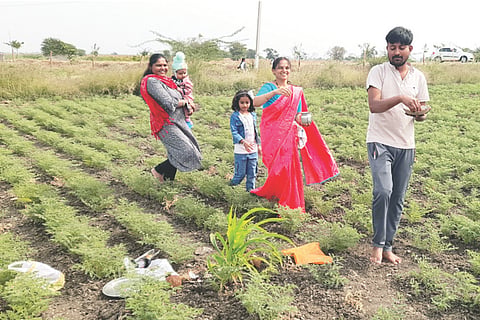 ಕುಕನೂರು ತಾಲೂಕಿನ ಭಾನಾಪುರ ಗ್ರಾಮದ ಜಮೀನೊಂದರಲ್ಲಿ ಎಳ್ಳಮಾವಾಸ್ಯೆ ನಿಮಿತ್ತ ಚರಗ ಚೆಲ್ಲುತ್ತಿರುವುದು.